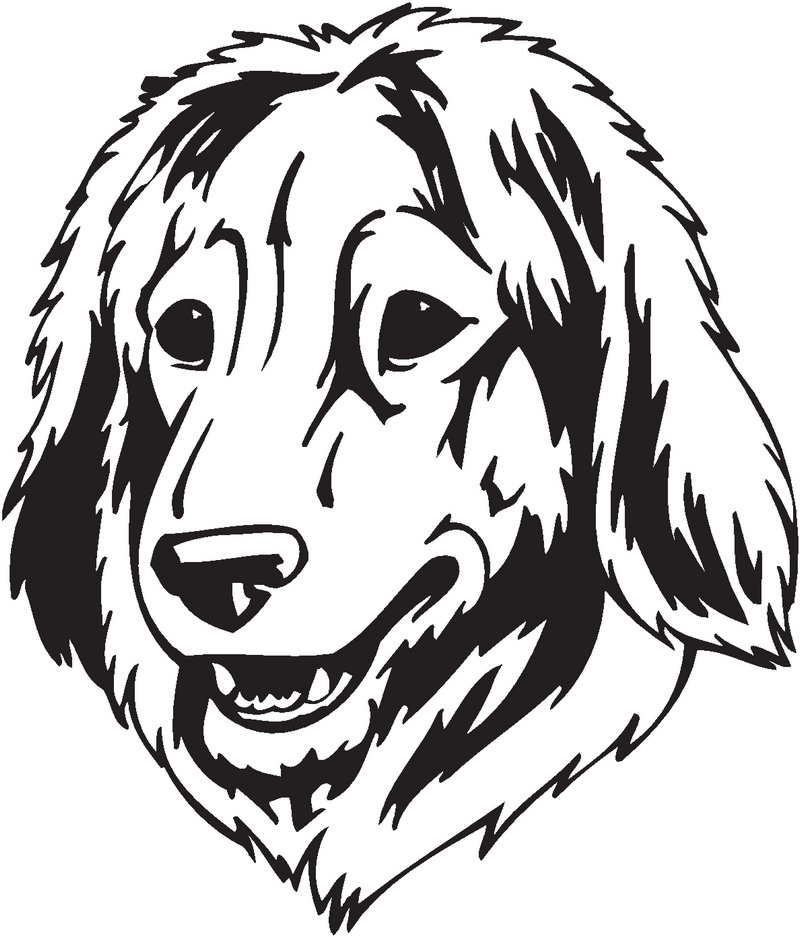 Estrela Mountain Dog Sticker
