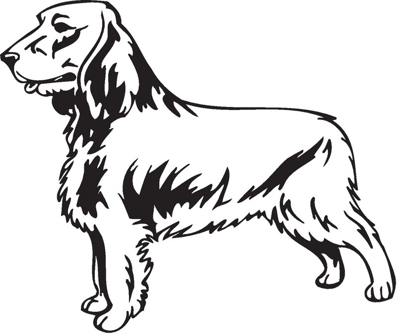 Field Spaniel Dog Sticker