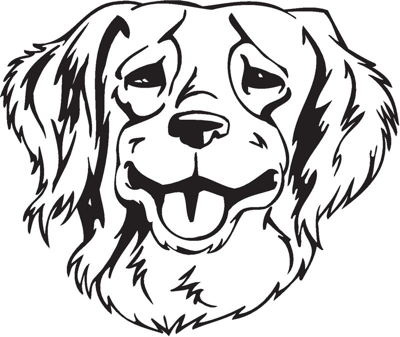 French Brittany Dog Sticker