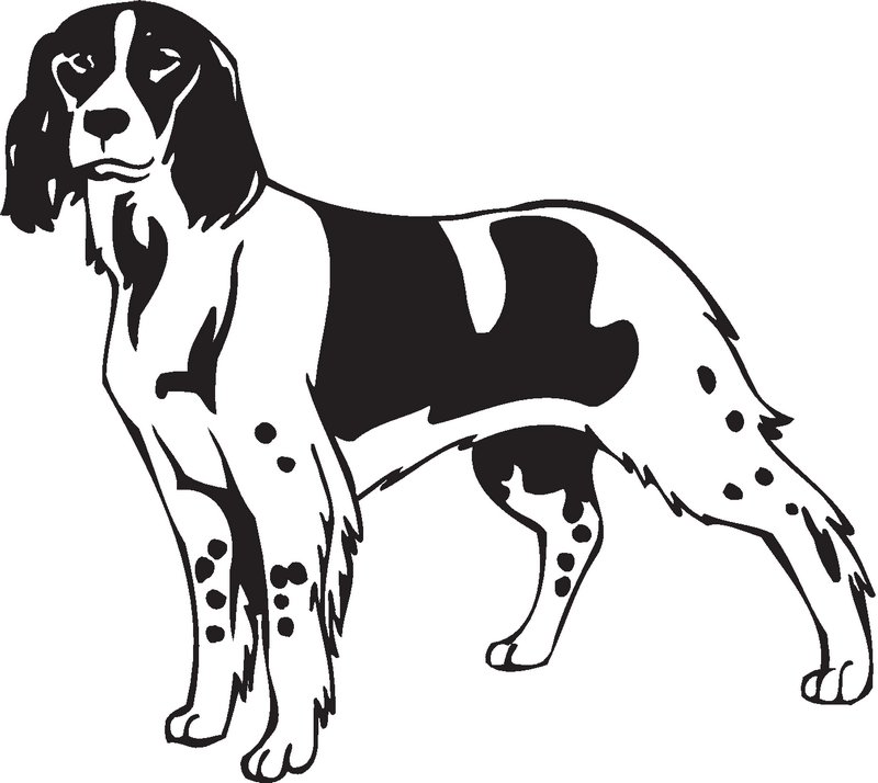 French Spaniel Dog Sticker