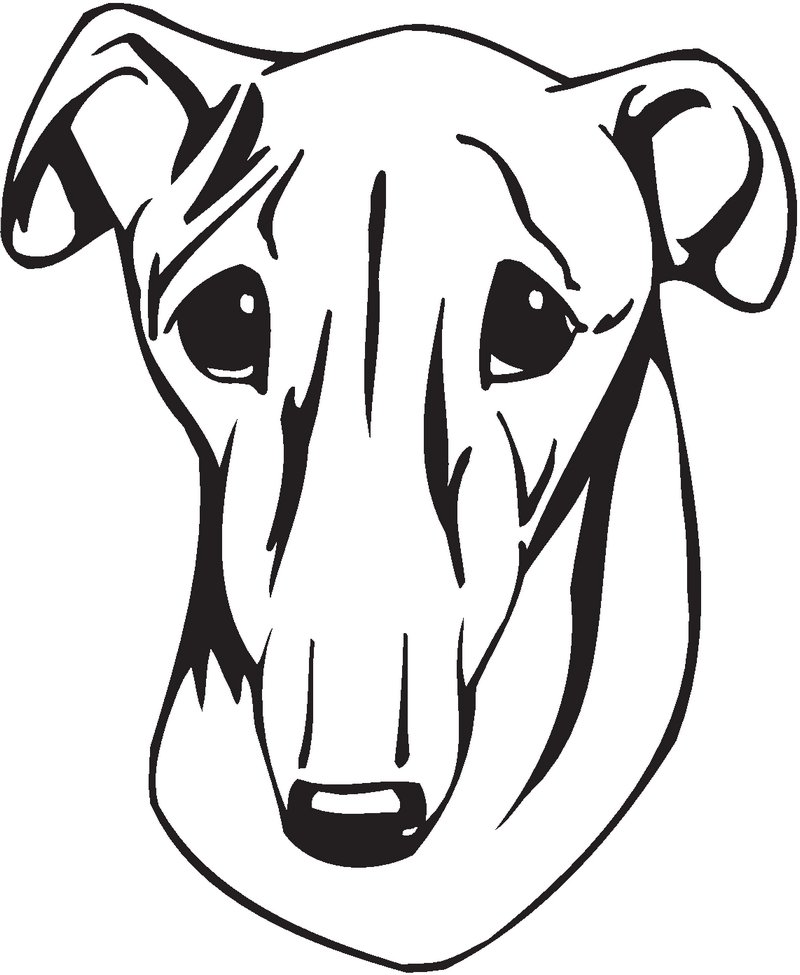 Galgo Espanol Dog Sticker