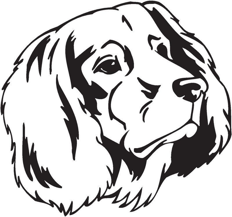 German Longhaired Pointer Dog Sticker