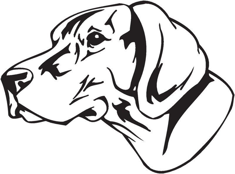 German Shourthaired Pointer Dog Sticker