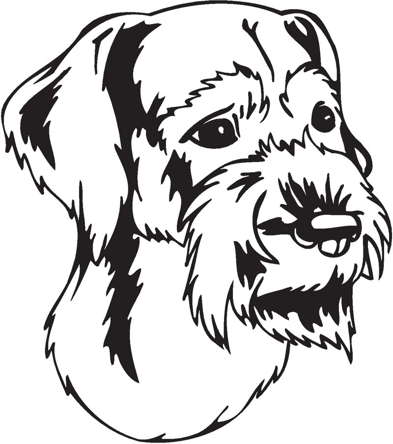 German Wirehaired Pointer Dog Sticker