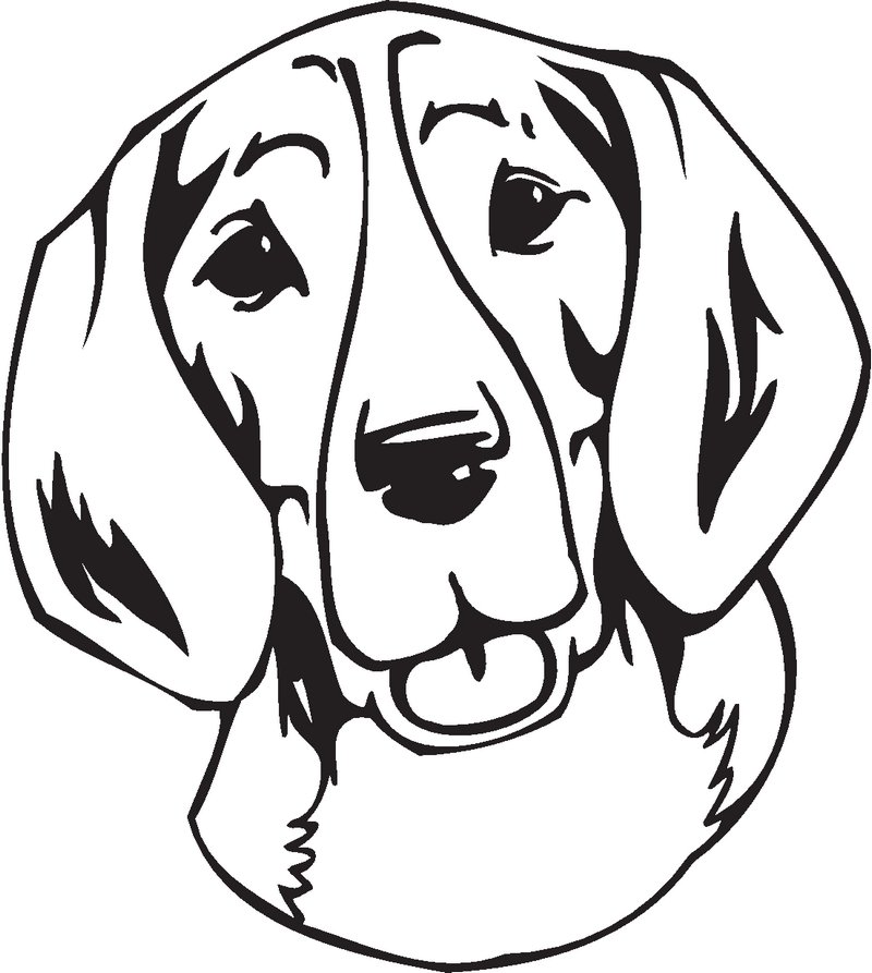 Grand Anglo-Francais Tricolore Dog Sticker