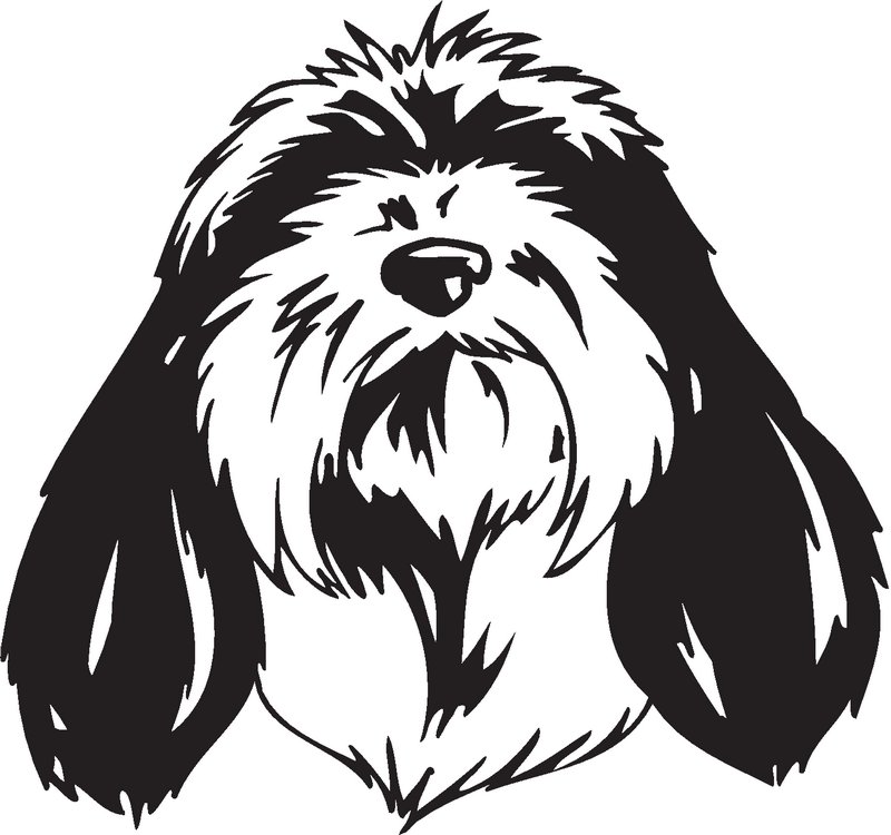 Grand Griffon Vendeer Dog Sticker