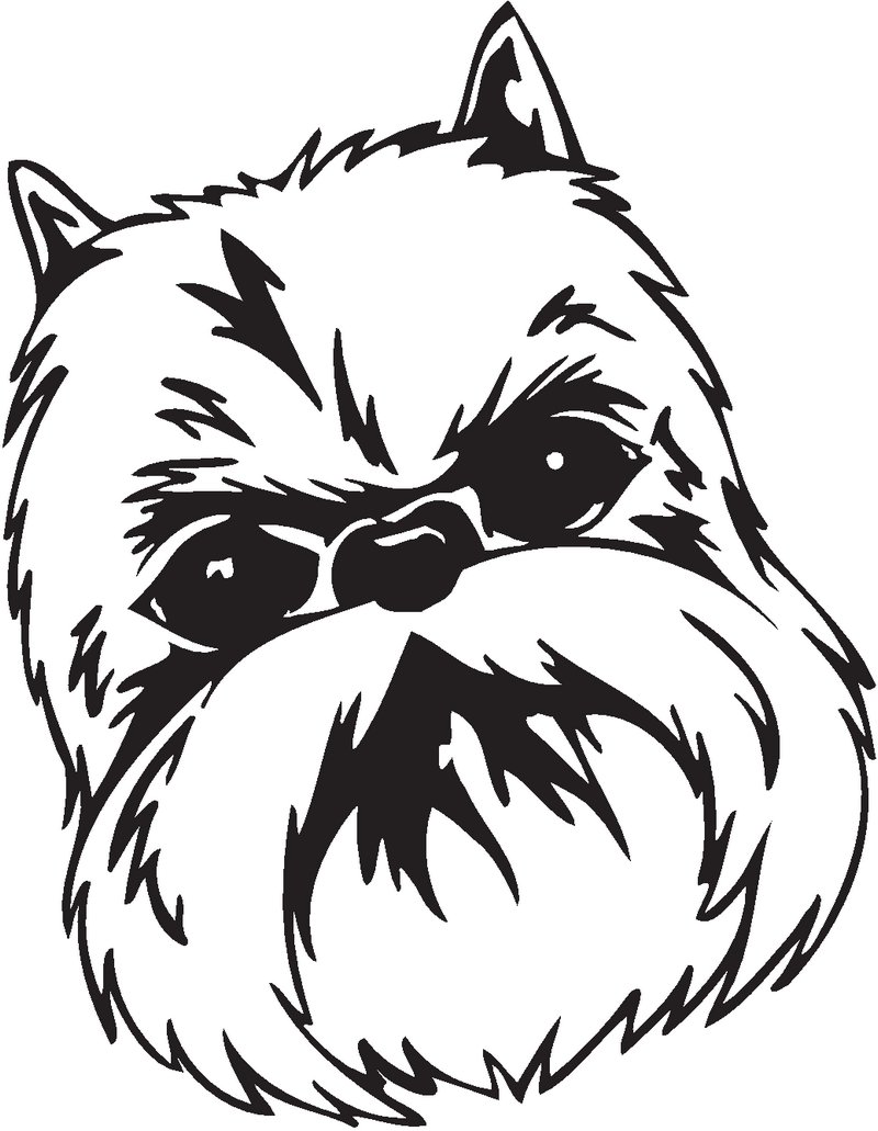 Griffon Bruxellois Dog Sticker