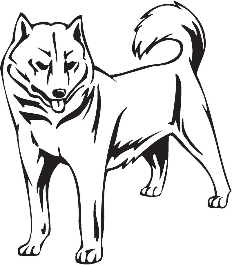 Hokkaido Dog Sticker