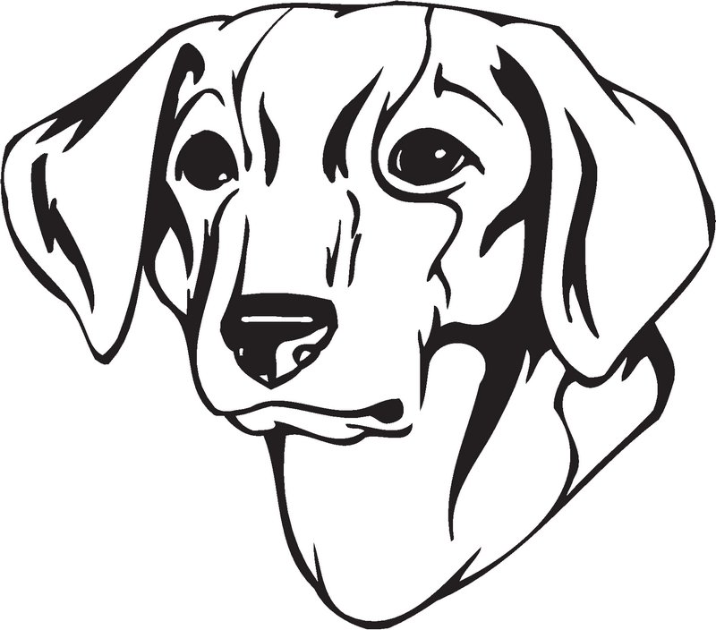 Istrian Shorthaired Hound Dog Sticker