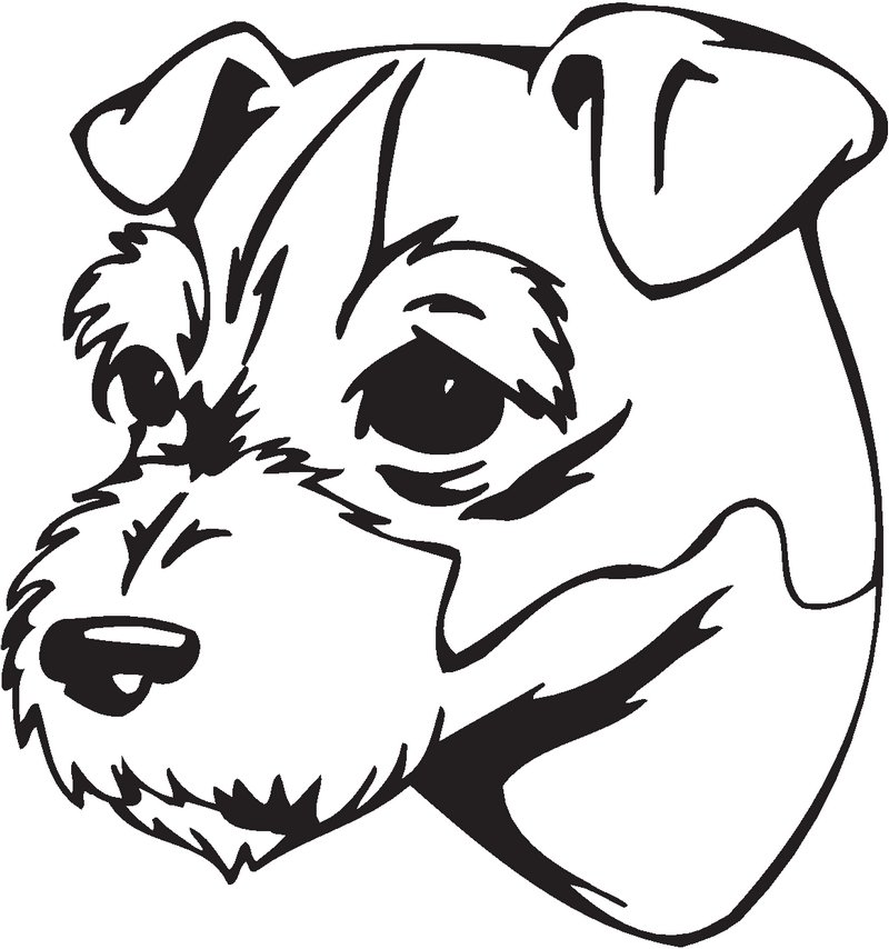 Jack Russell Terrier Dog Sticker