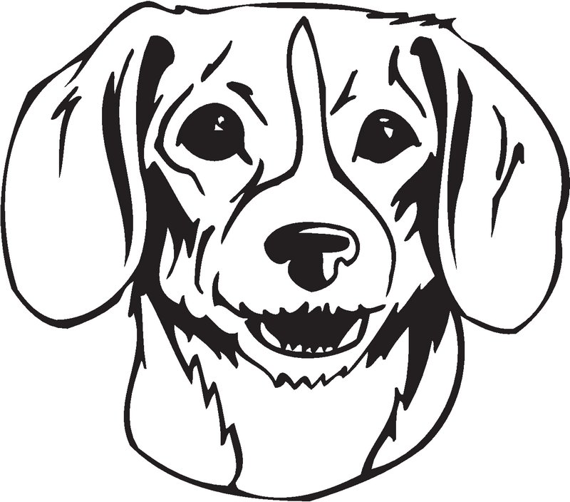 Kerry Beagle Dog Sticker