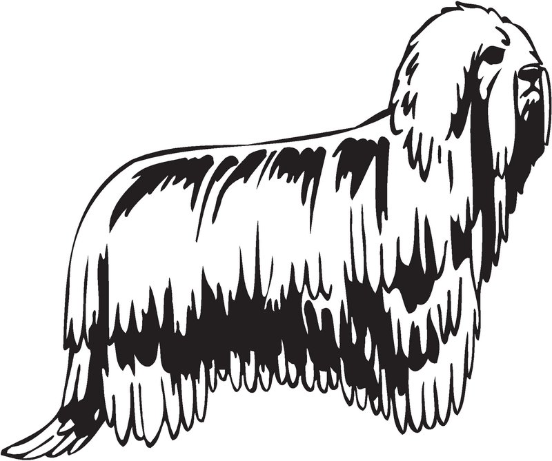 Komondor Dog Sticker