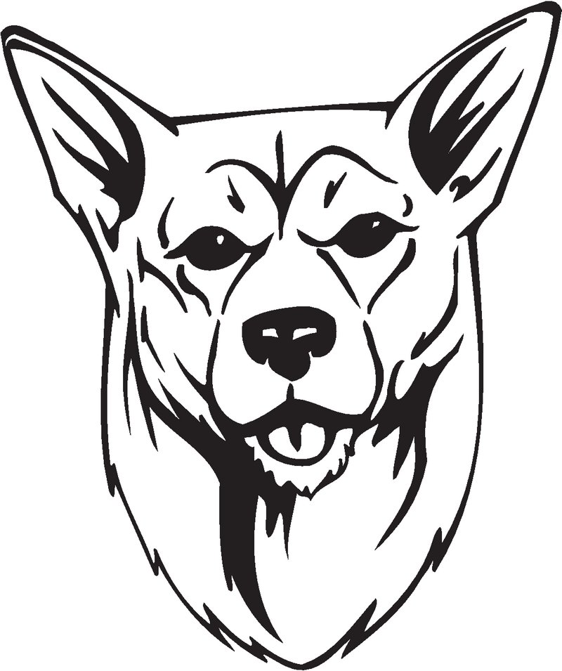 Korean Jindo Dog Sticker