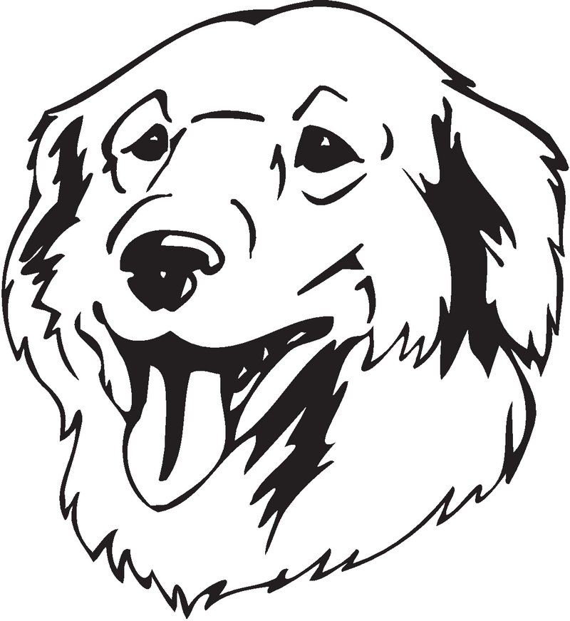 Kuvasz Dog Sticker