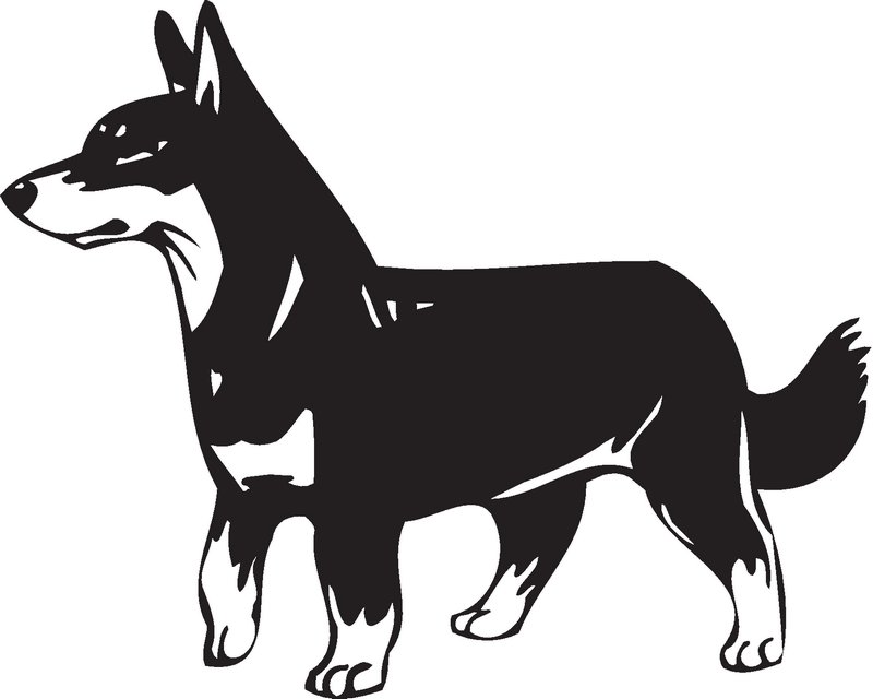 Lancashire Heeler Dog Sticker
