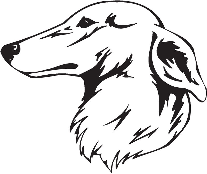 Longhaired Whippet Dog Sticker