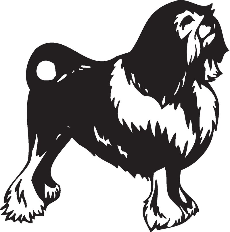 Lowchen Dog Sticker