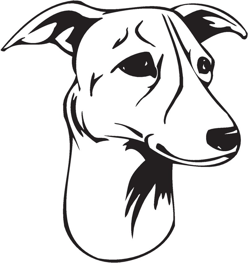 Magyar Agar Dog Sticker