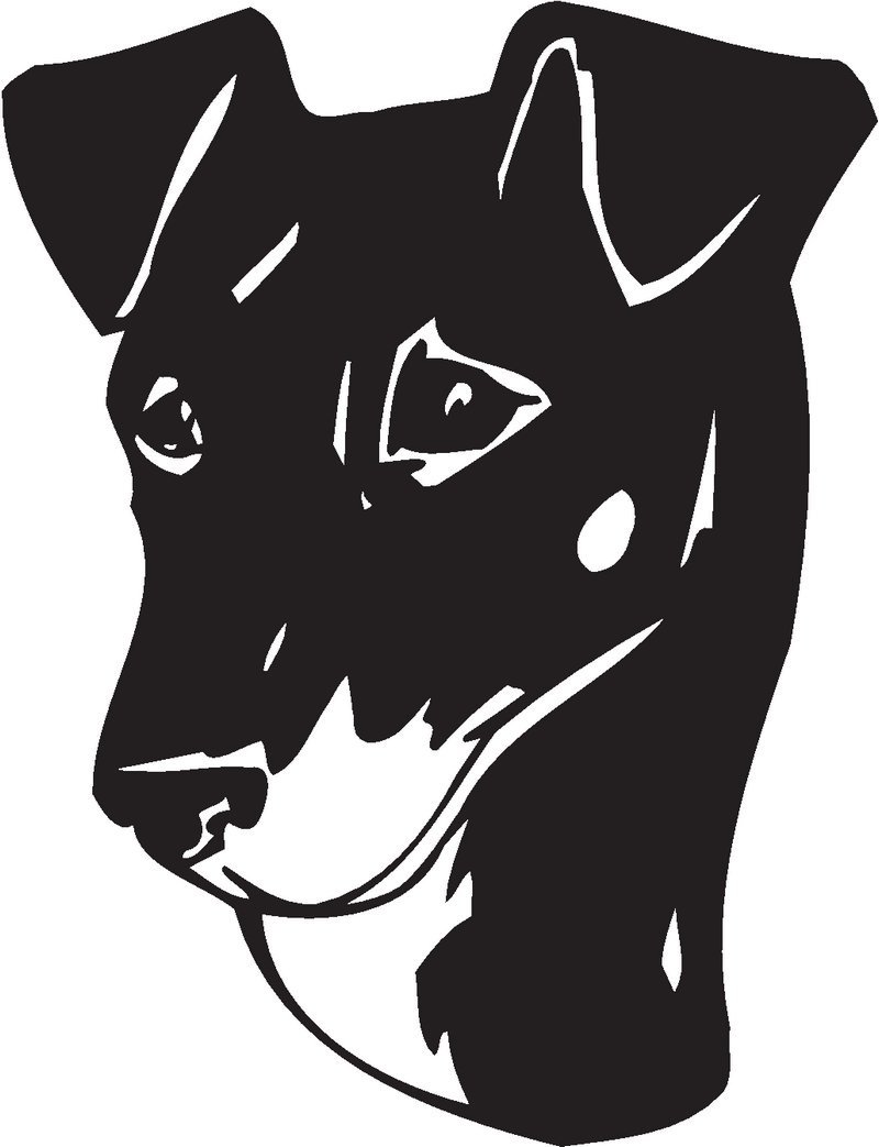 Manchester Terrier Dog Sticker