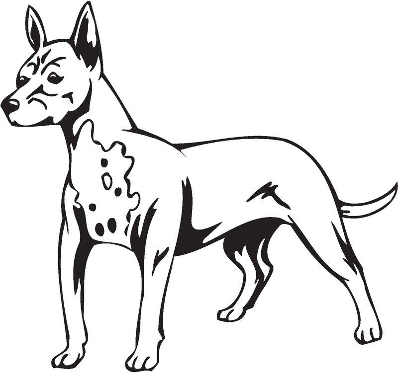 Mexican Hairless Dog Sticker