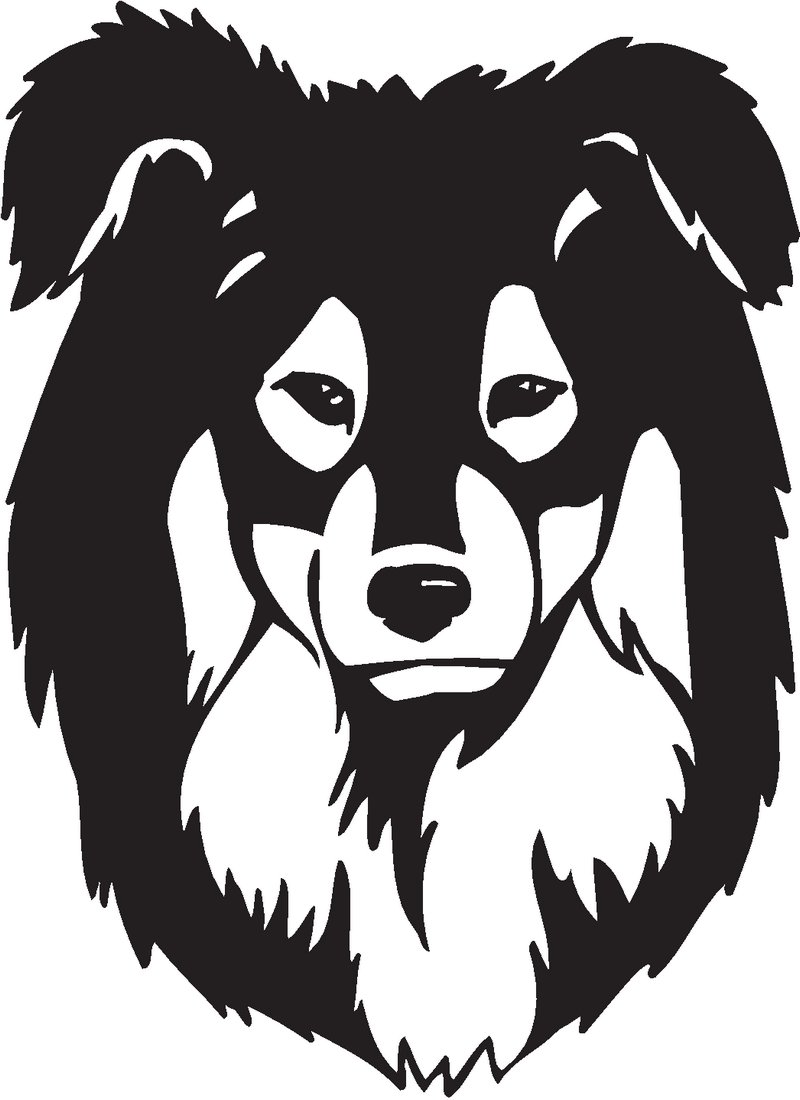 Minature Austrailian Shepherd Dog Sticker