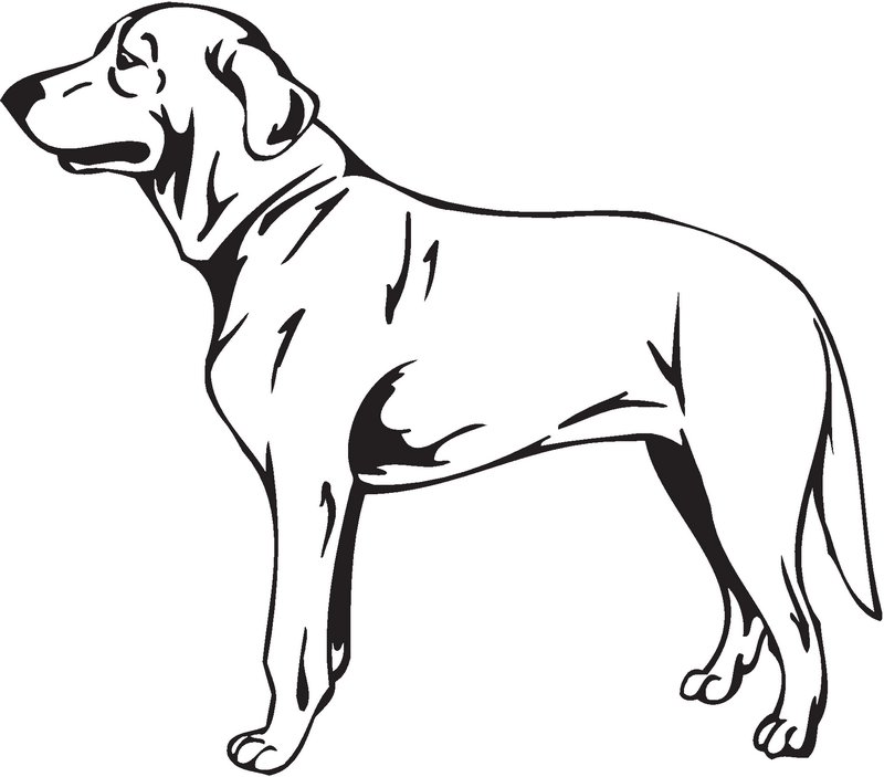Molossus Dog Sticker