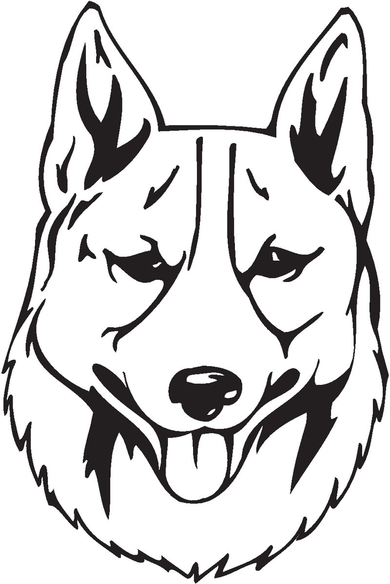 Norrbottenspets Dog Sticker