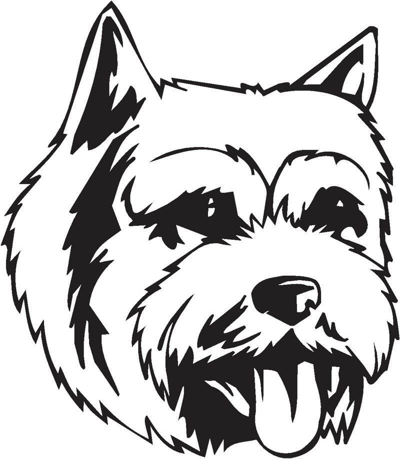 Norwich Terrier Dog Sticker