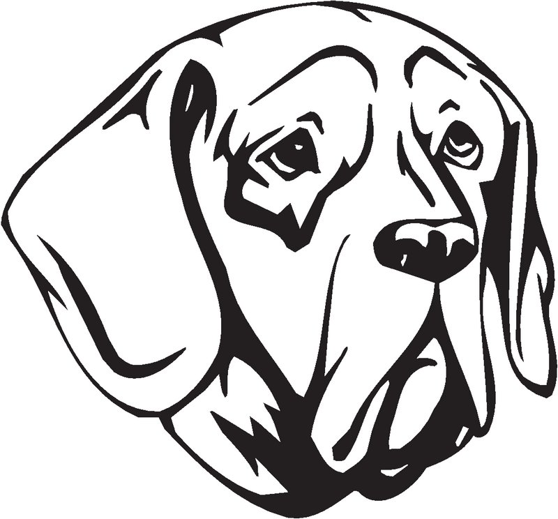 Pachon Navarro Dog Sticker