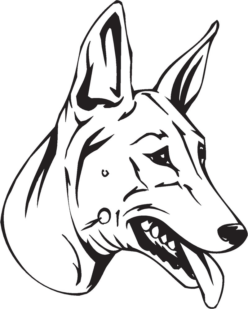 Pharaoh Hound Dog Sticker