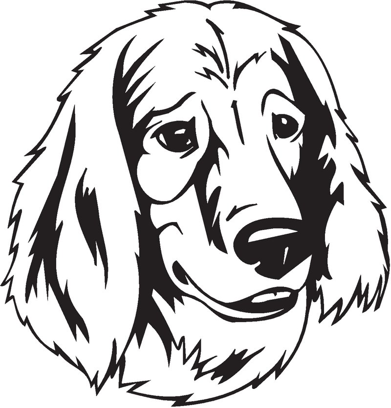 Picardy Spaniel Dog Sticker