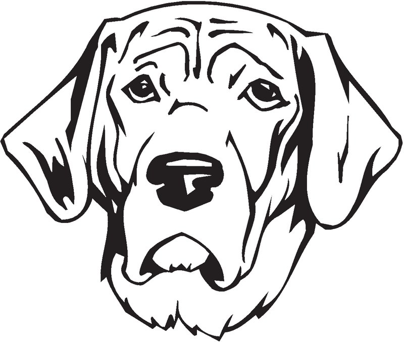 Polish Hound Dog Sticker