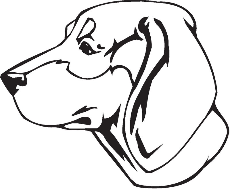 Polish Hunting Dog Sticker