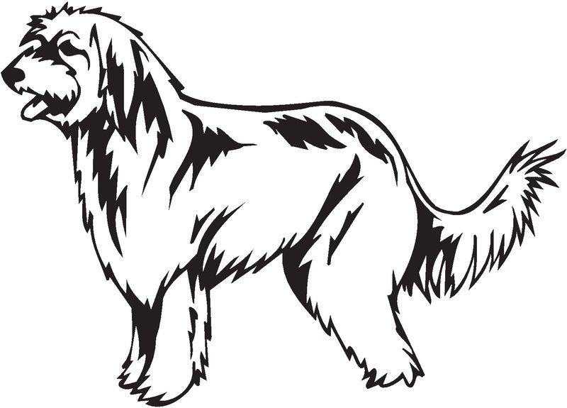 Pyrenean Shepherd Dog Sticker