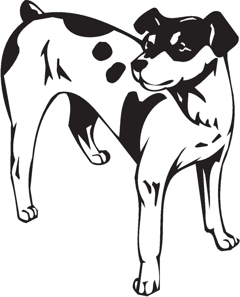 Rat Terrier Dog Sticker