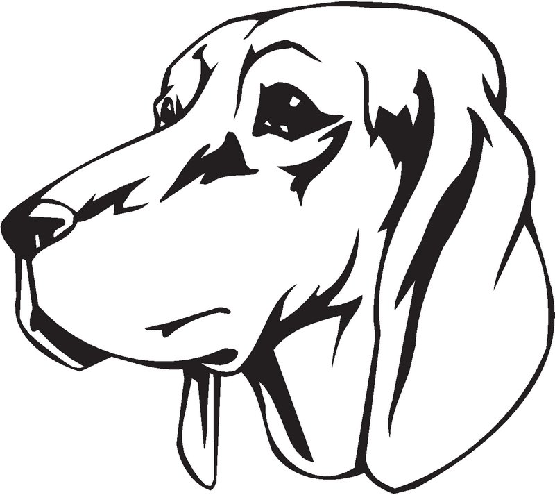 Redbone Coonhound Dog Sticker