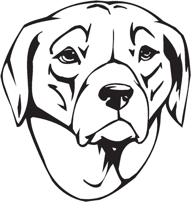 Rhodesian Ridgeback Dog Sticker