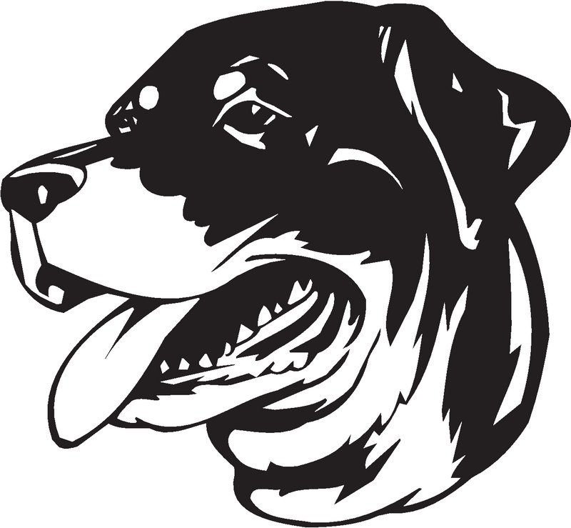 Rottweiler Dog Sticker