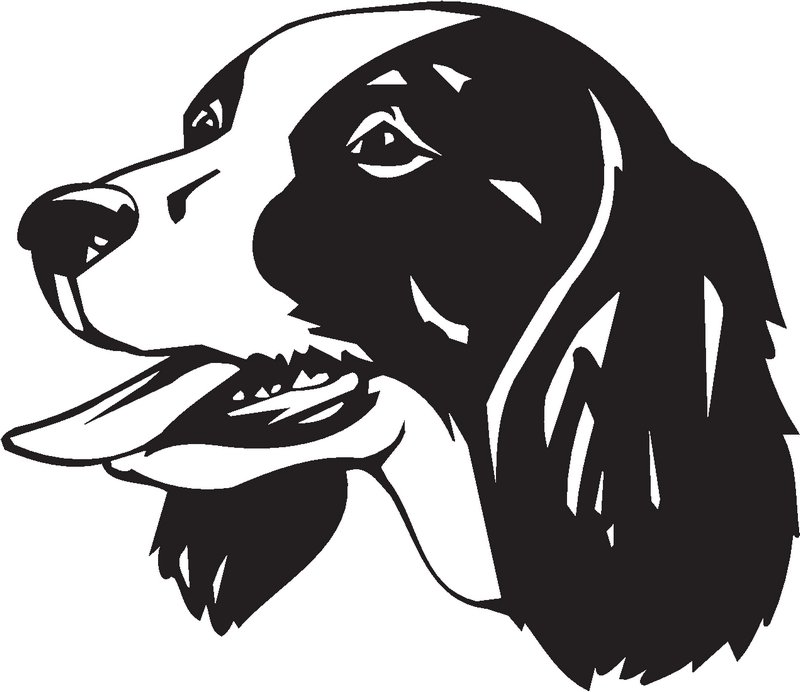 Russian Spaniel Dog Sticker