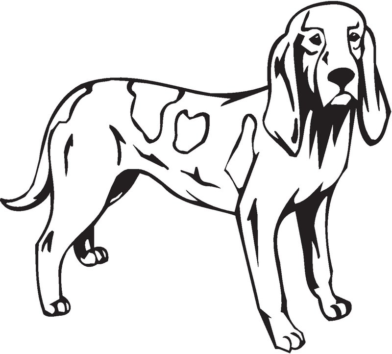 Sabueso Espanol Dog Sticker