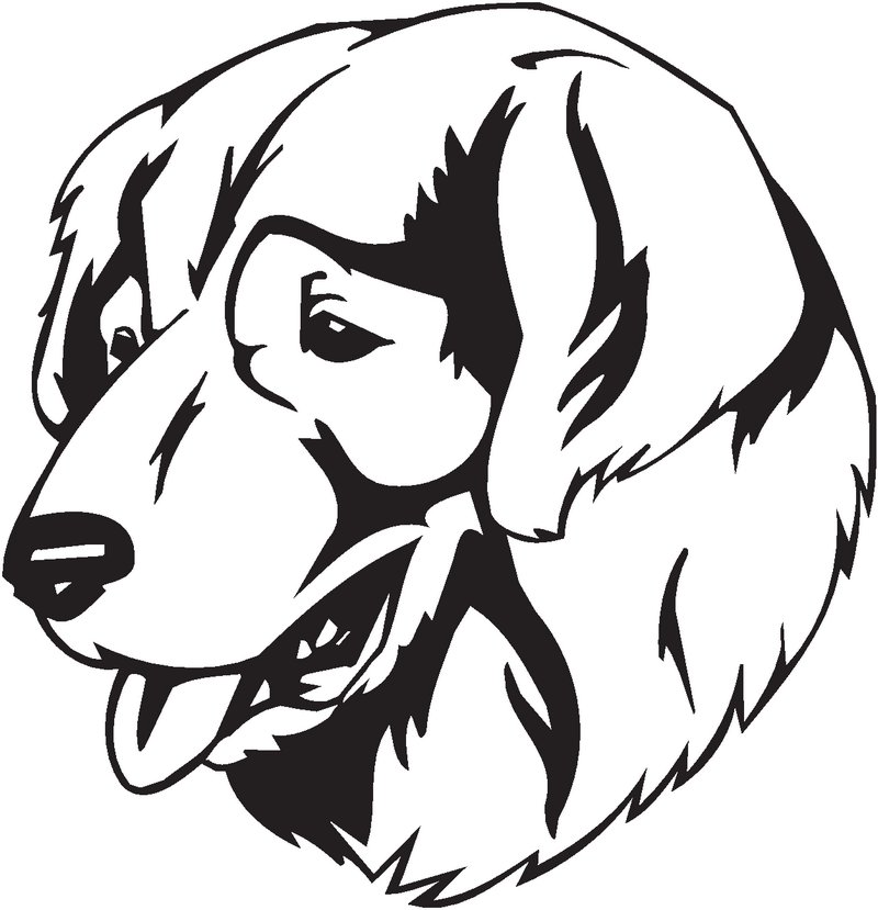 Ssarplaninac Dog Sticker