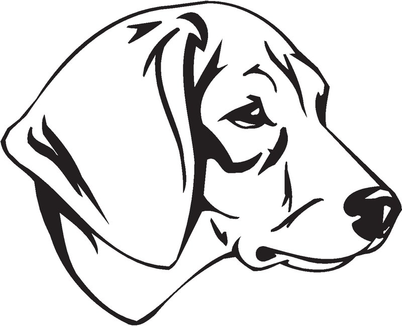 Schillerstovare Dog Sticker