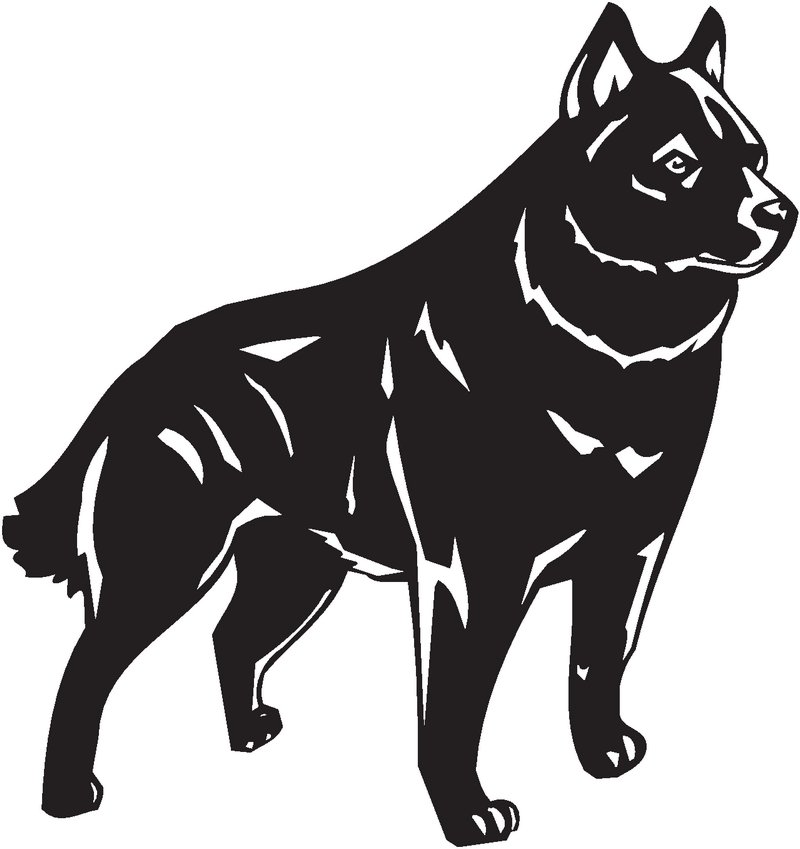 Schipperke Dog Sticker