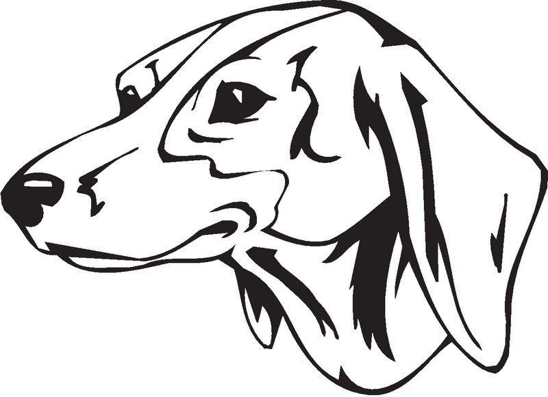 Schweizerischer Niederlaufund Dog Sticker