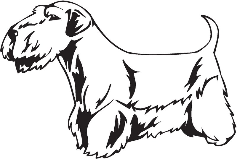 Sealyham Terrier Dog Sticker