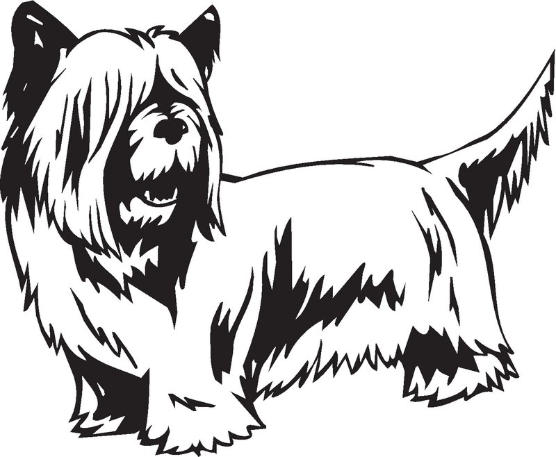 Skye Terrier Dog Sticker
