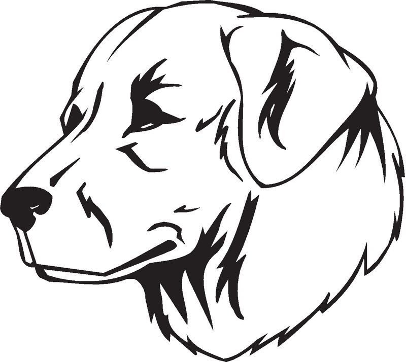 Slovak Cuvac Dog Sticker
