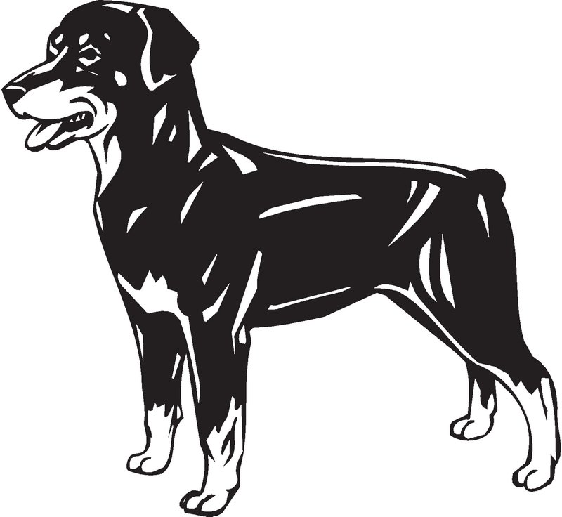 Smalandsstovare Dog Sticker