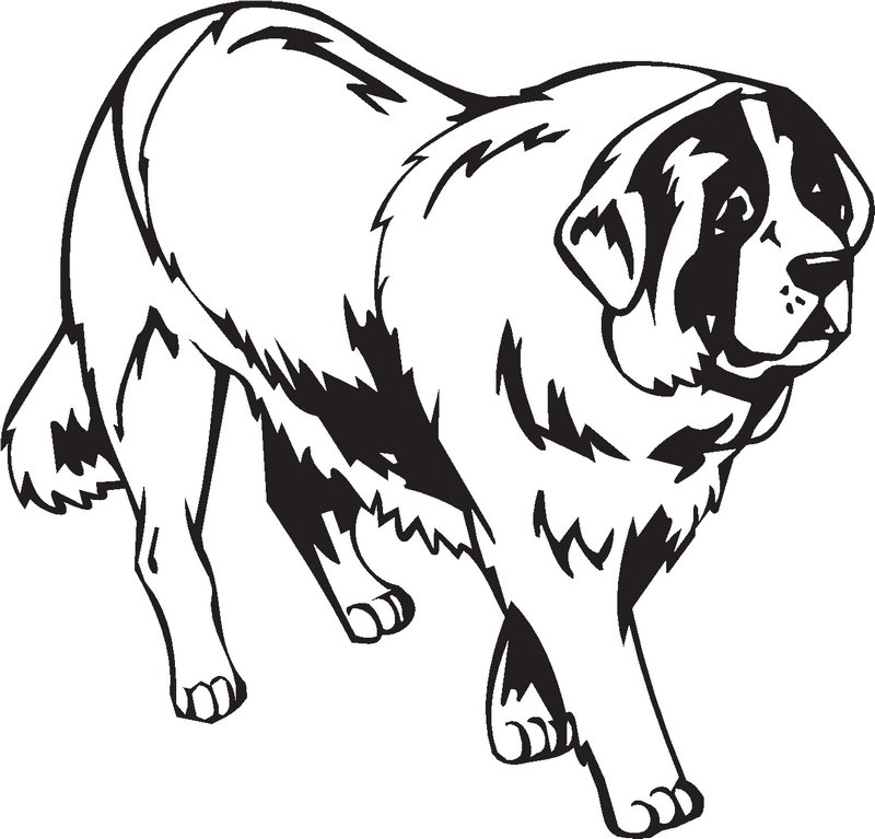 St. Bernard Dog Sticker