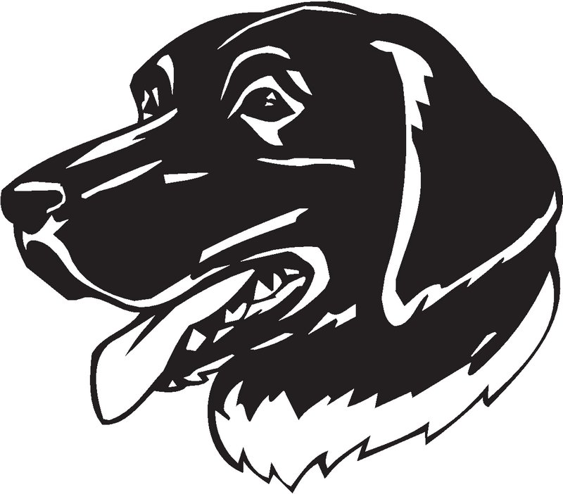 Stabyhoun Dog Sticker